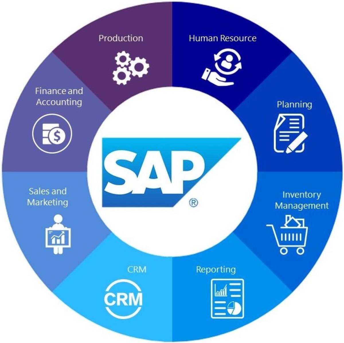 SAP Nedir ve Nasıl Çalışır? Kapsamlı Kılavuz