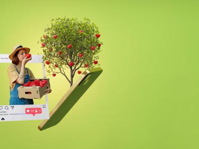 Organik ve Yöresel Ürünler İçin E-Ticaret Sırları