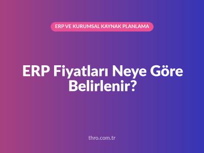 ERP Fiyatları Neye Göre Belirlenir?