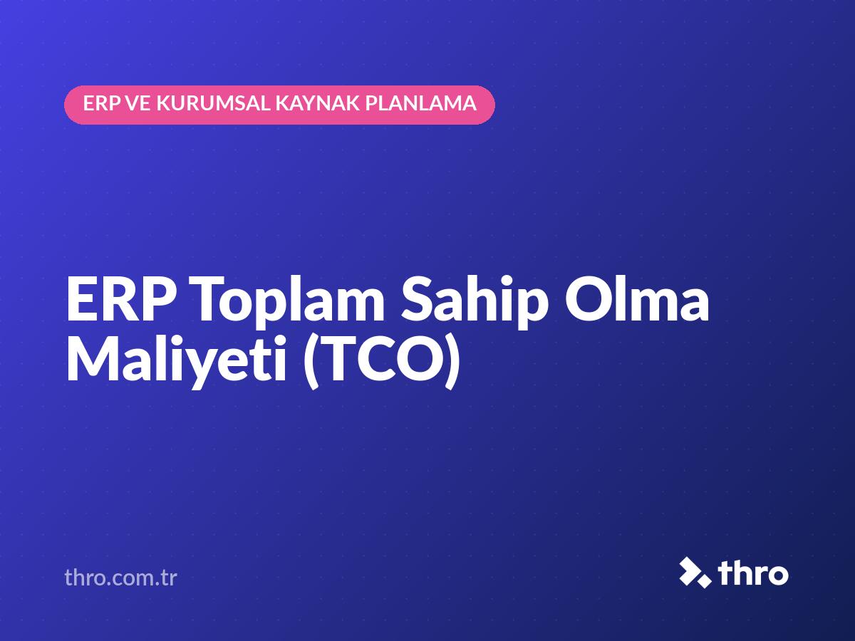 ERP Toplam Sahip Olma Maliyeti (TCO)