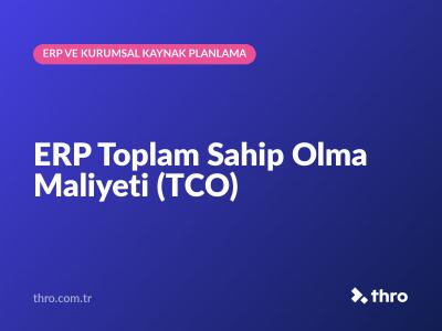 ERP Toplam Sahip Olma Maliyeti (TCO)