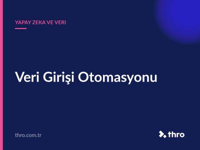 Veri Girişi Otomasyonu