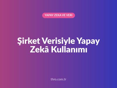 Şirket Verisiyle Yapay Zekâ Kullanımı