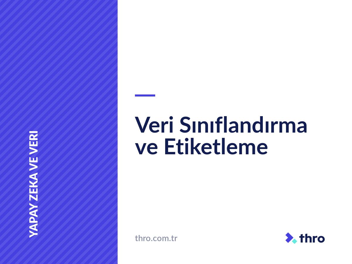 Veri Sınıflandırma ve Etiketleme