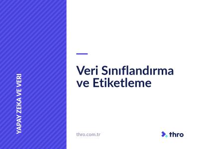 Veri Sınıflandırma ve Etiketleme