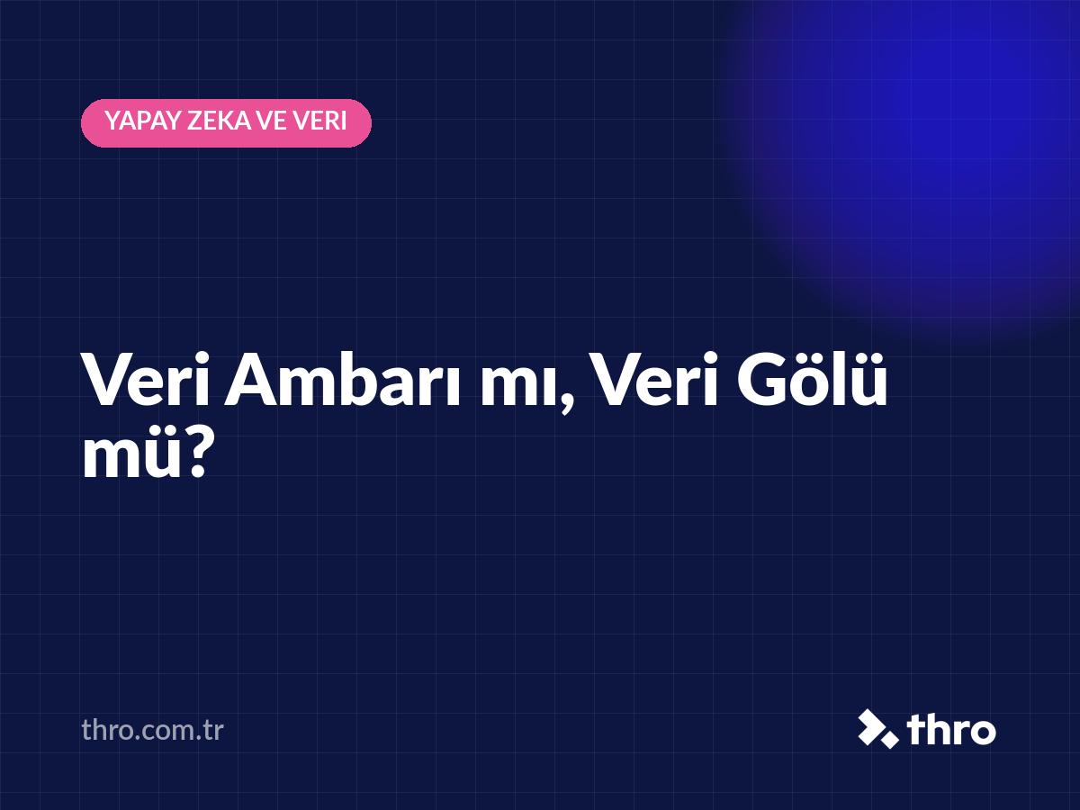 Veri Ambarı mı, Veri Gölü mü?