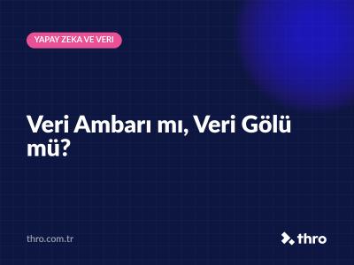 Veri Ambarı mı, Veri Gölü mü?