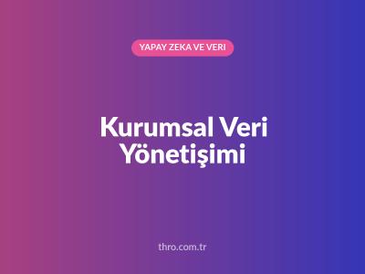 Kurumsal Veri Yönetişimi