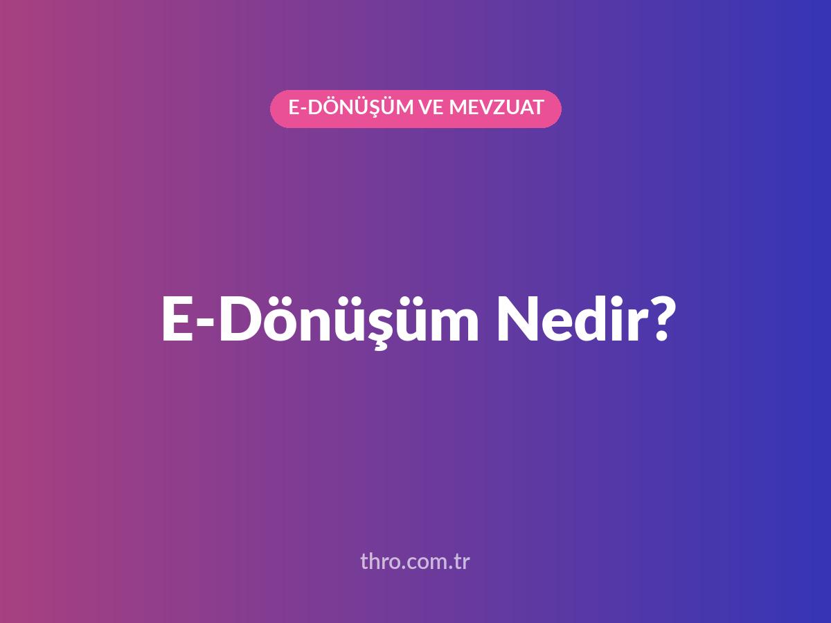 E-Dönüşüm Nedir?