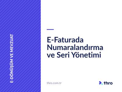 E-Faturada Numaralandırma ve Seri Yönetimi
