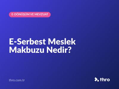 E-Serbest Meslek Makbuzu Nedir?