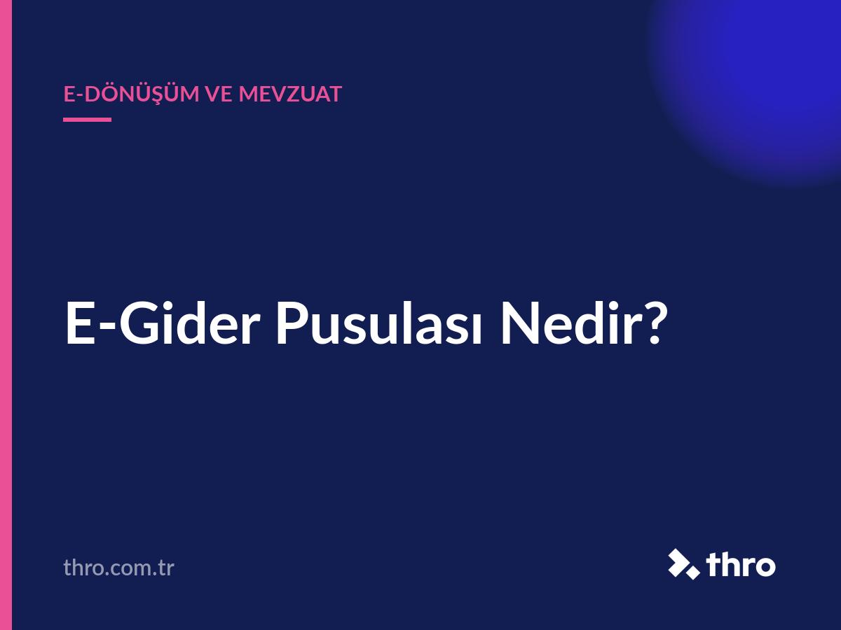 E-Gider Pusulası Nedir?