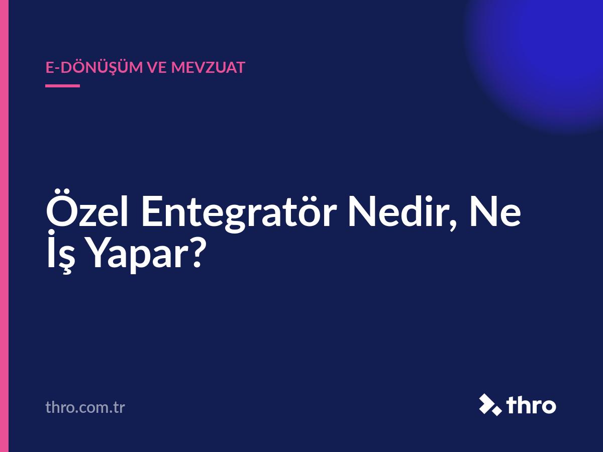 Özel Entegratör Nedir, Ne İş Yapar?