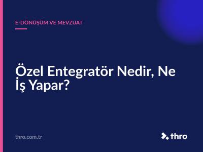 Özel Entegratör Nedir, Ne İş Yapar?