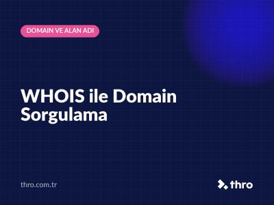 WHOIS ile Domain Sorgulama