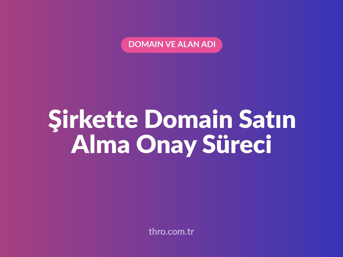 Şirkette Domain Satın Alma Onay Süreci
