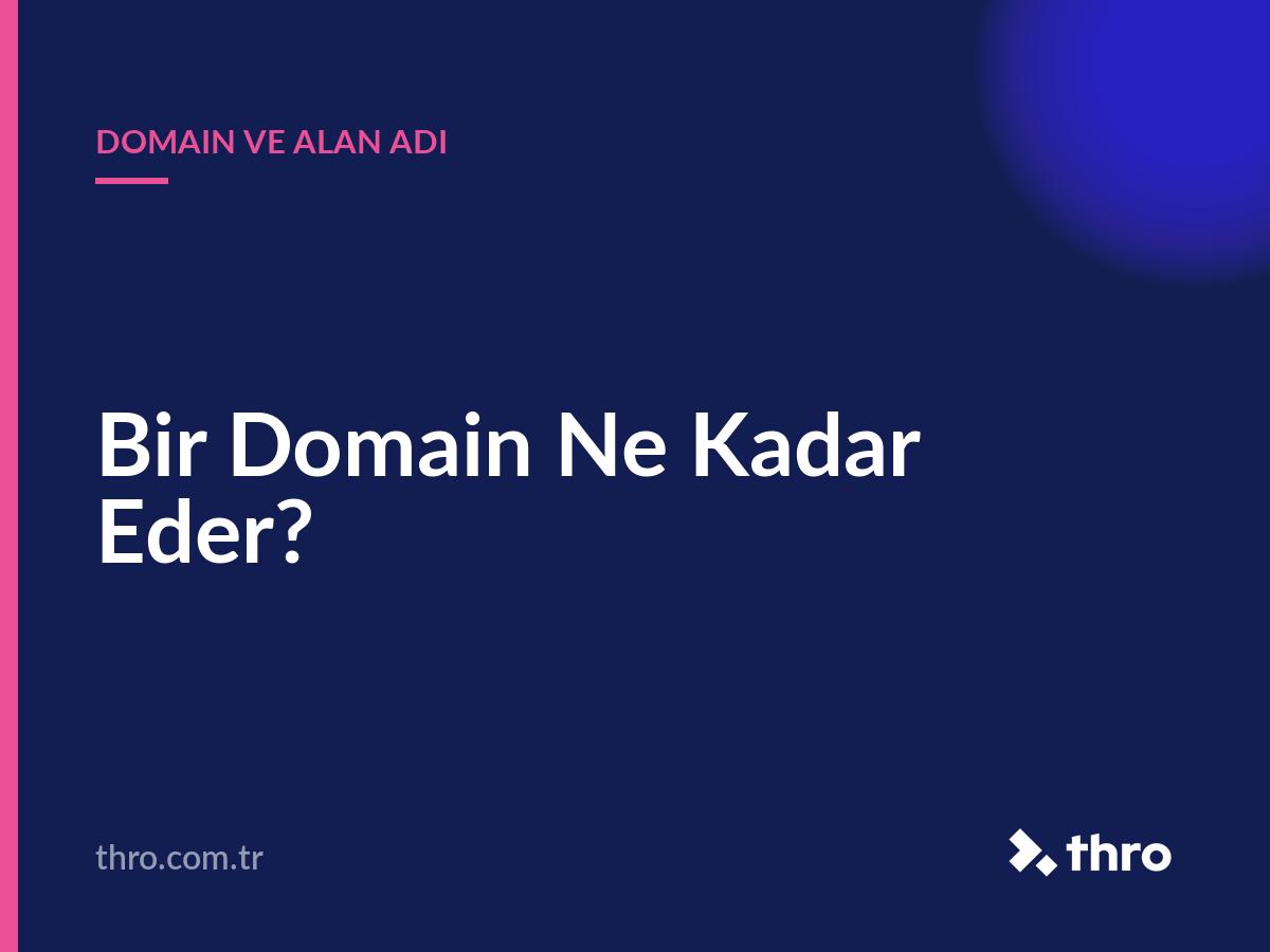 Bir Domain Ne Kadar Eder?