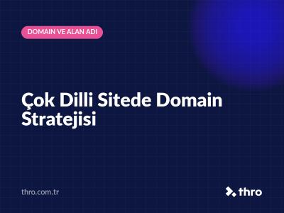 Çok Dilli Sitede Domain Stratejisi