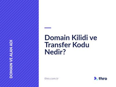 Domain Kilidi ve Transfer Kodu Nedir?