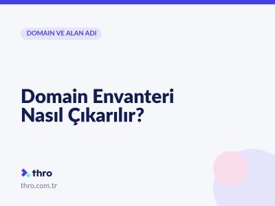 Domain Envanteri Nasıl Çıkarılır?