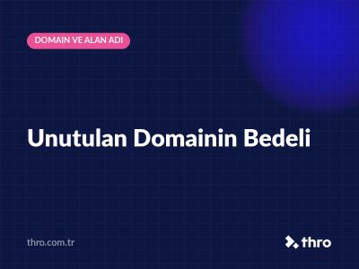 Unutulan Domainin Bedeli