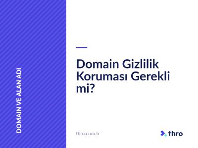 Domain Gizlilik Koruması Gerekli mi?