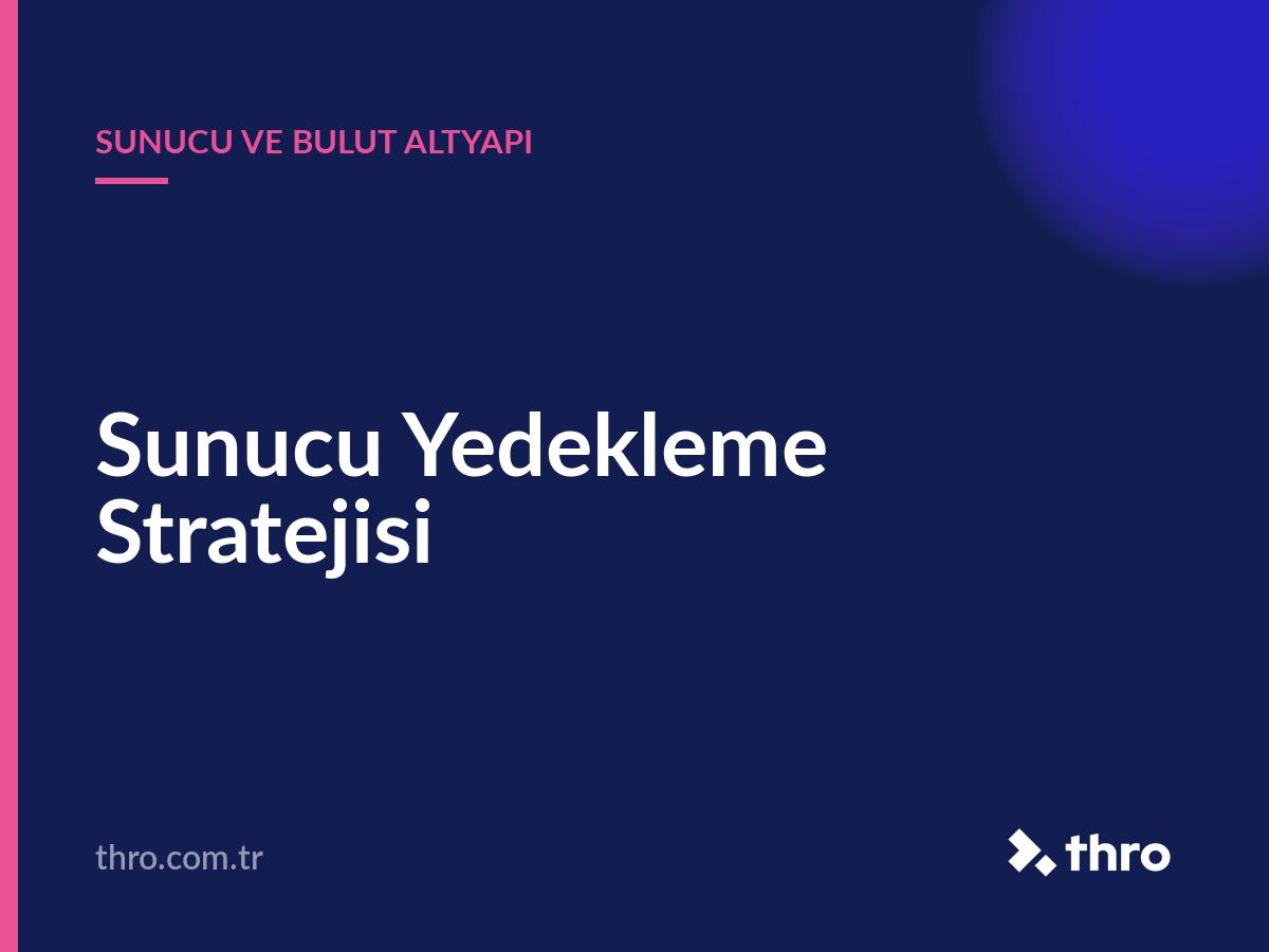 Sunucu Yedekleme Stratejisi