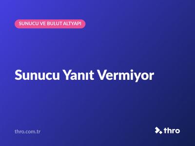 Sunucu Yanıt Vermiyor