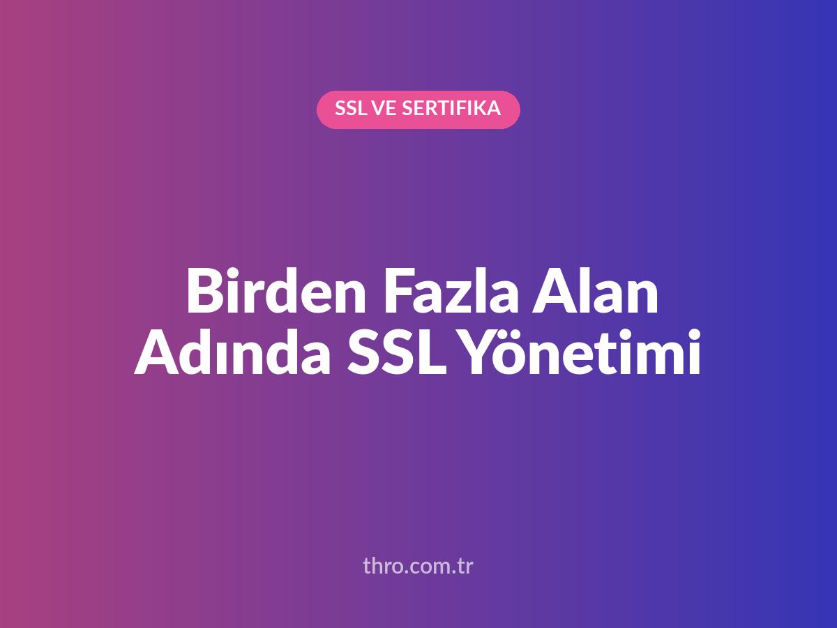 Birden Fazla Alan Adında SSL Yönetimi